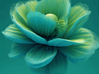 The Vital Role of Human Creativity in the Age of AI